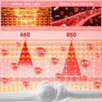 1 B70f29d8 D366 4a29 80e3 C73c9cef8bc9